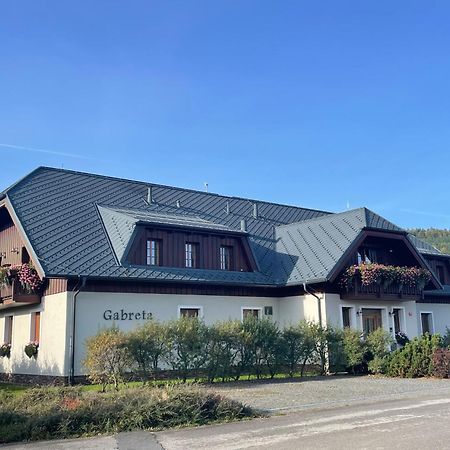 Wellness Penzion Gabreta Borová Lada Exterior foto